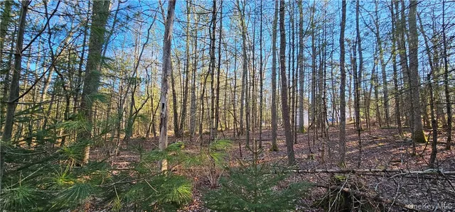 $39,900 | Lot 57.1 Yulan-barryville Road, Barryville, NY 12719