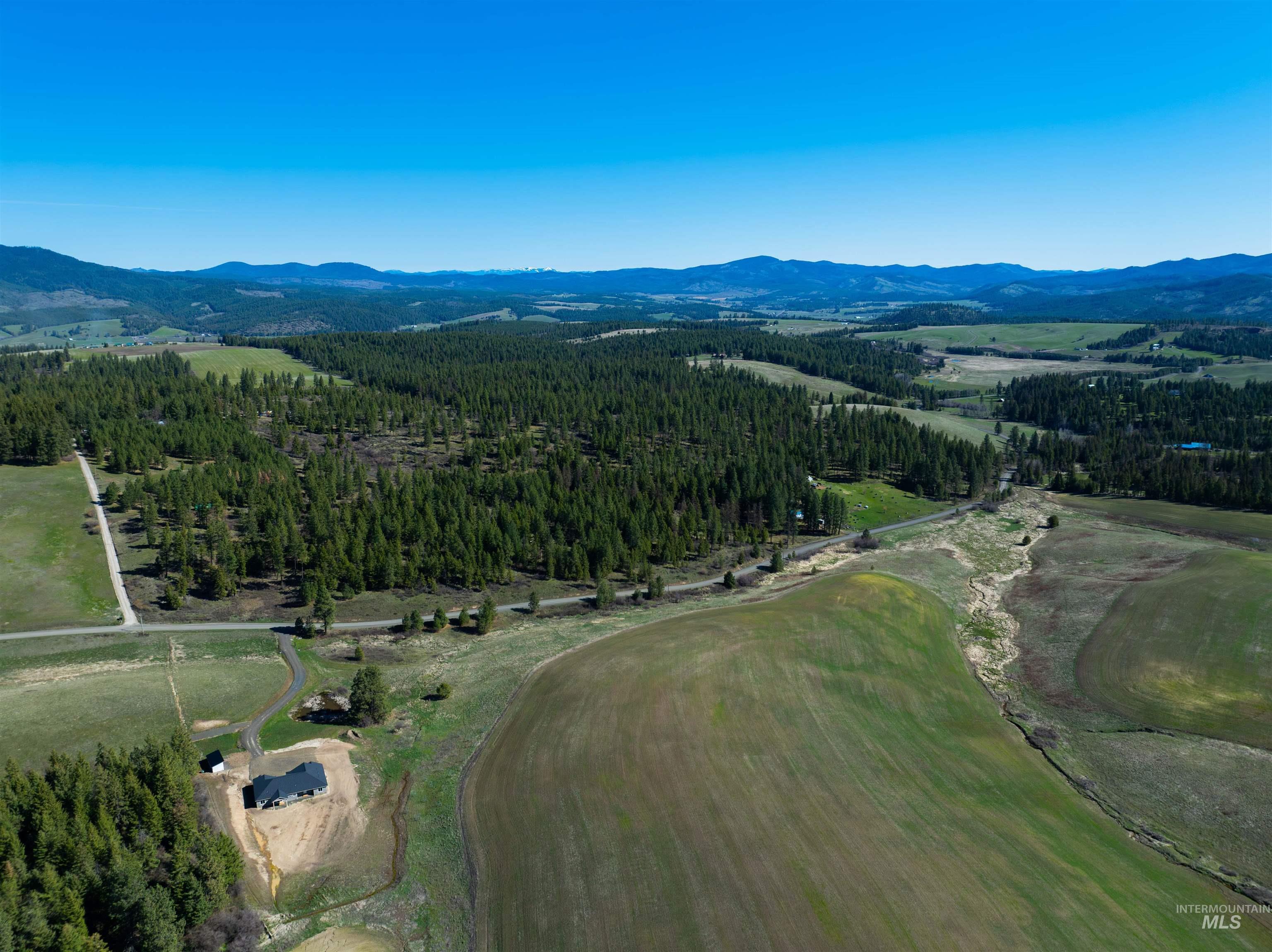 1283 Bear Creek Road Princeton, ID 83857 - Photo 38 of 50