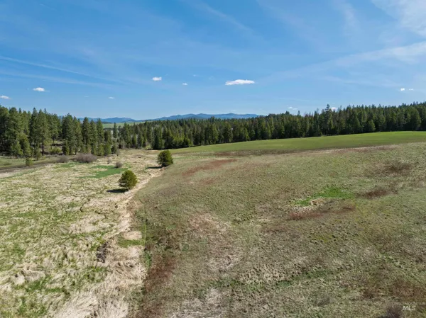 $850,000 | 1283 Bear Creek Road, Princeton, ID 83857