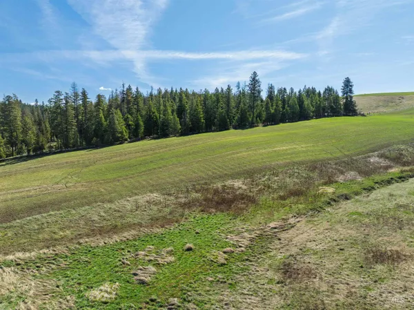 $850,000 | 1283 Bear Creek Road, Princeton, ID 83857
