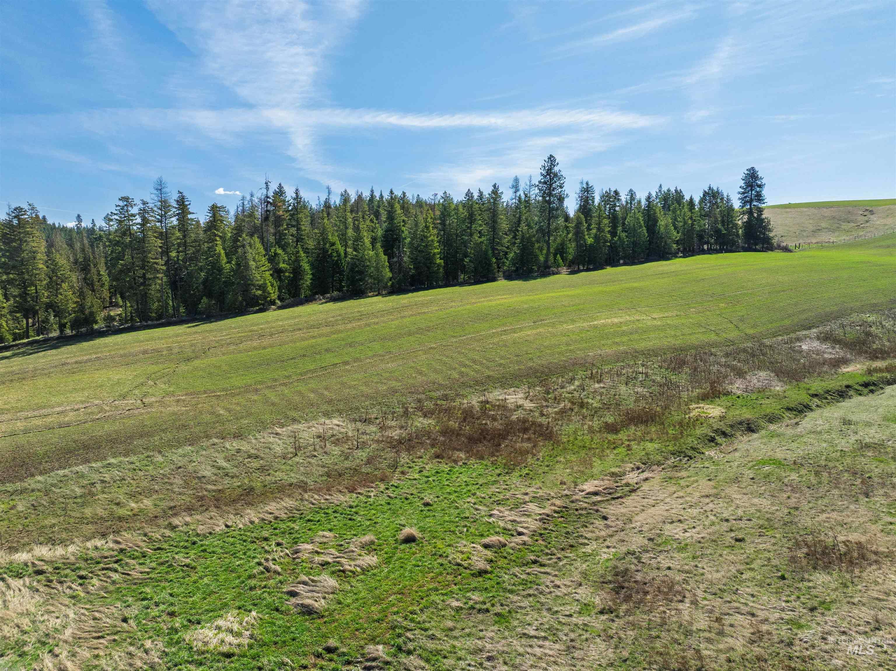 1283 Bear Creek Road Princeton, ID 83857 - Photo 45 of 50