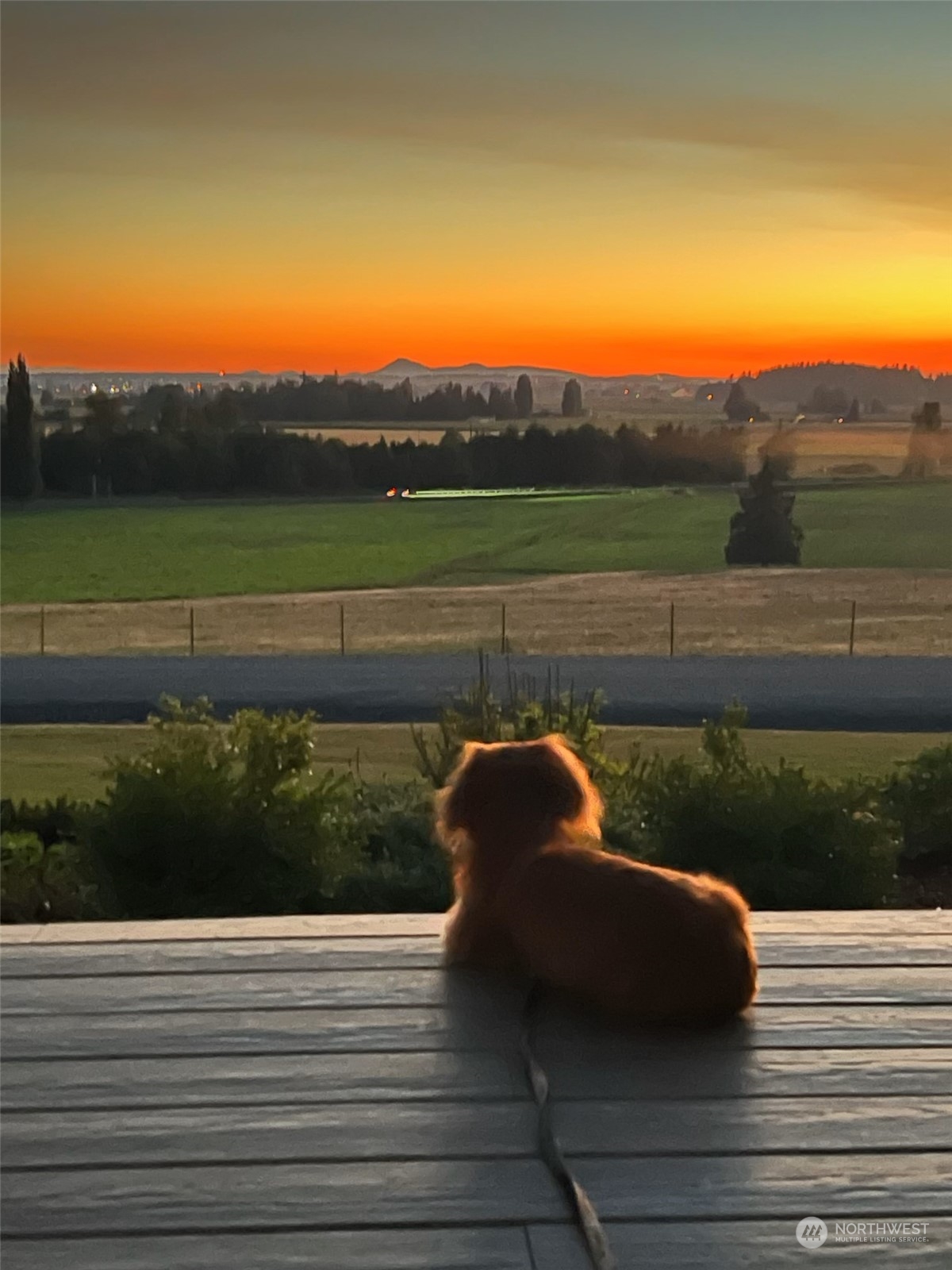 0 Union Road Sedro-Woolley, WA 98284 - Photo 13 of 13 a view of a yard with a bench and wooden floor