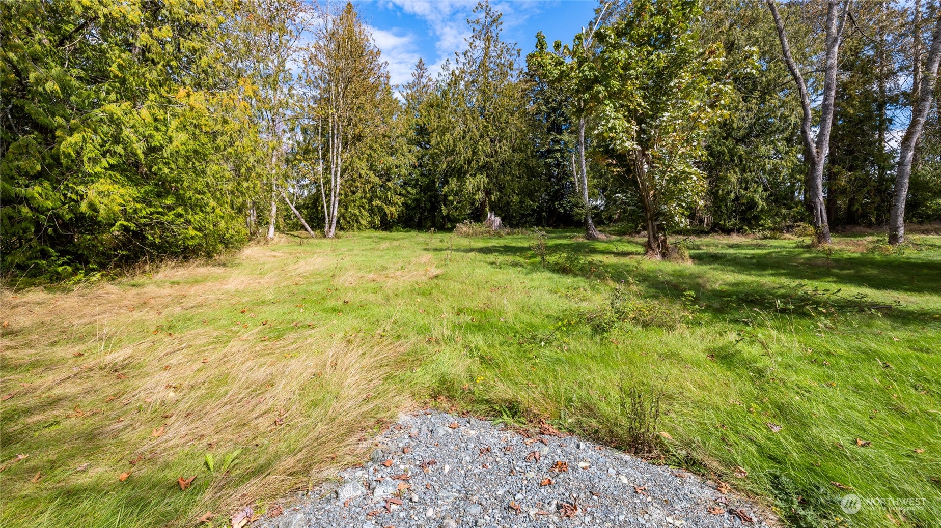 0 Union Road Sedro-Woolley, WA 98284 - Photo 5 of 13 a fire hydrant in the middle of a field