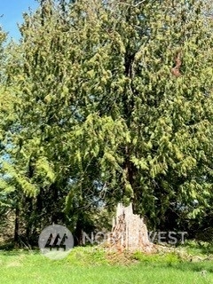 0 Union Road Sedro-Woolley, WA 98284 - Photo 7 of 13 a view of a yard with plants and trees