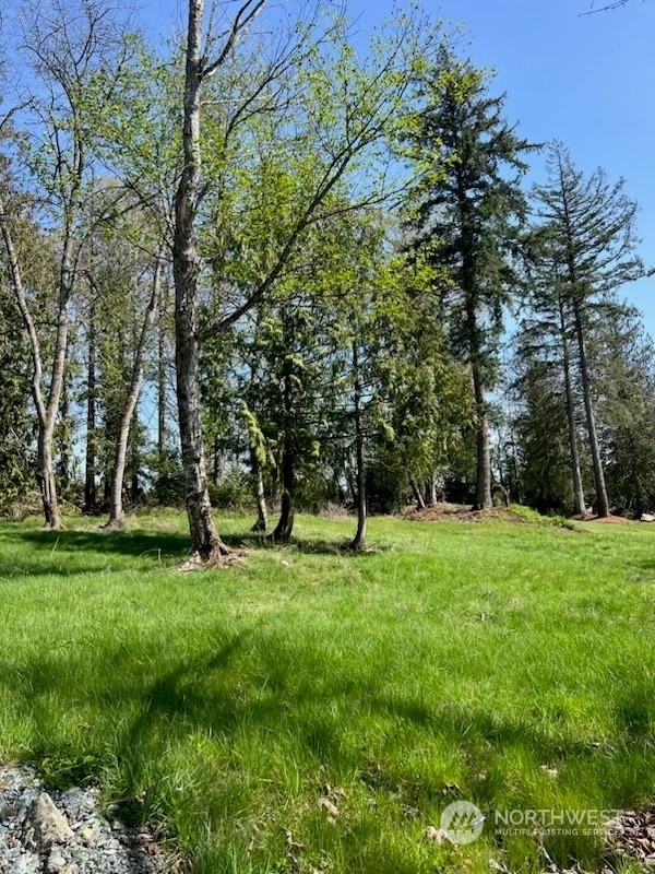 0 Union Road Sedro-Woolley, WA 98284 - Photo 9 of 13 a view of field with trees in the background