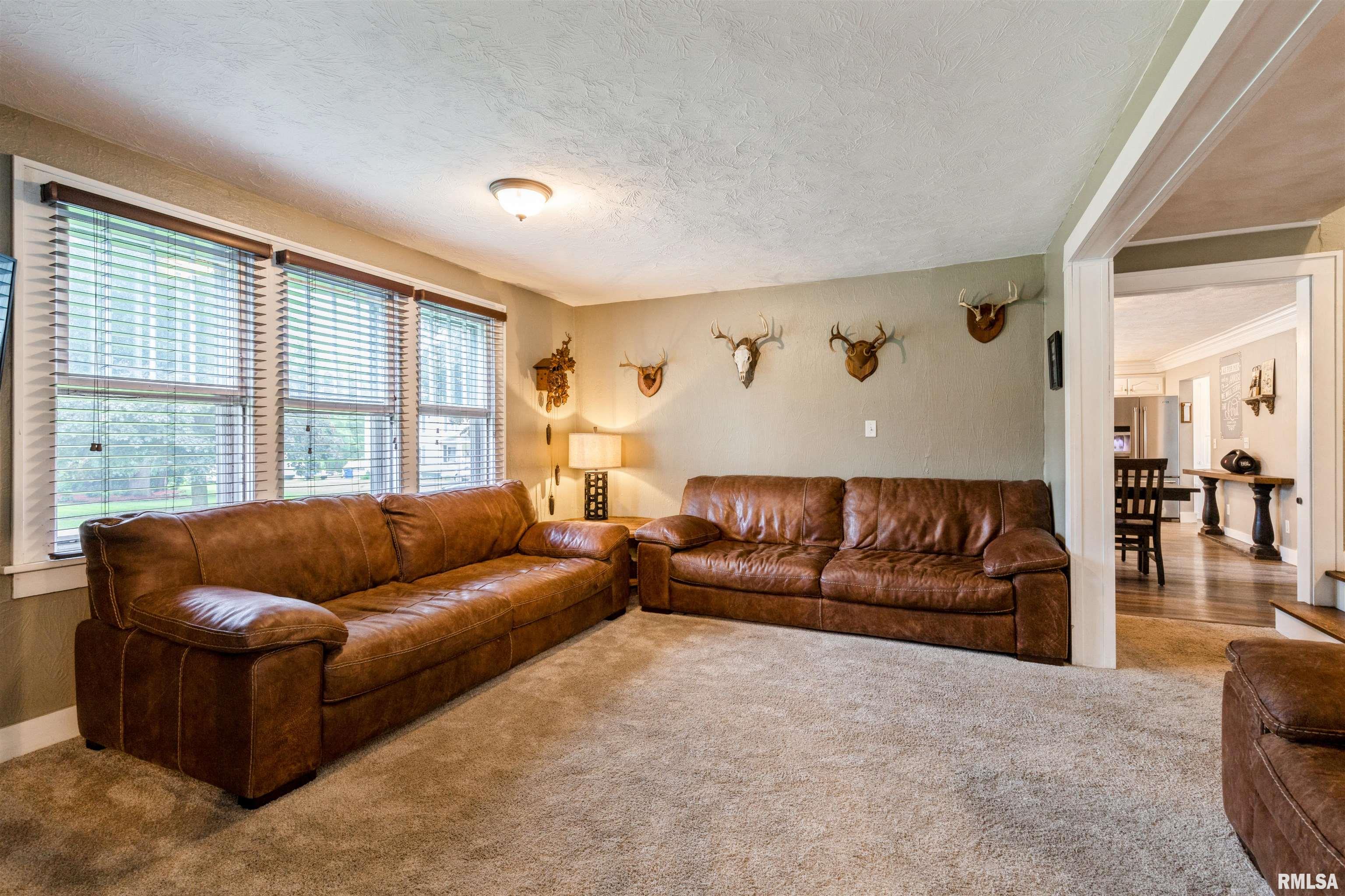 222 South Ridge Street Cambridge, IL 61238 - Photo 11 of 21 Gallery Image 11