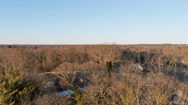 a view of a lake with lots of trees