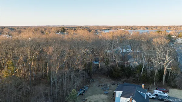 a view of ocean with lots of bushes