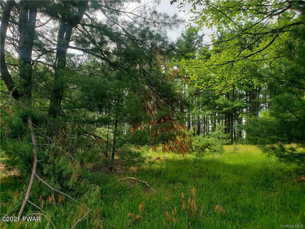 Mud Pond Road Highland Lake, NY 12743 - Photo 9 of 13