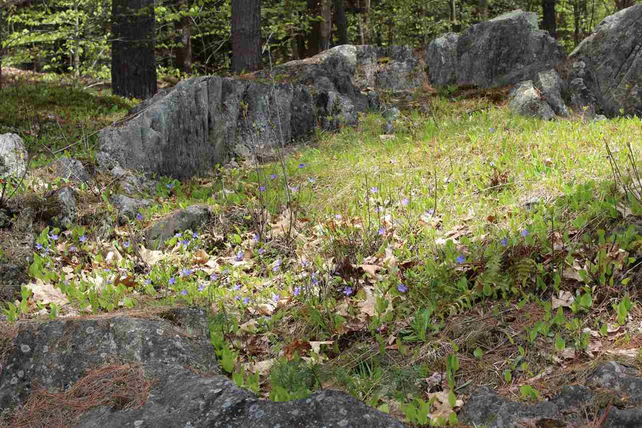340 Hawk Pine Road Norwich, VT 05055 - Photo 33 of 40