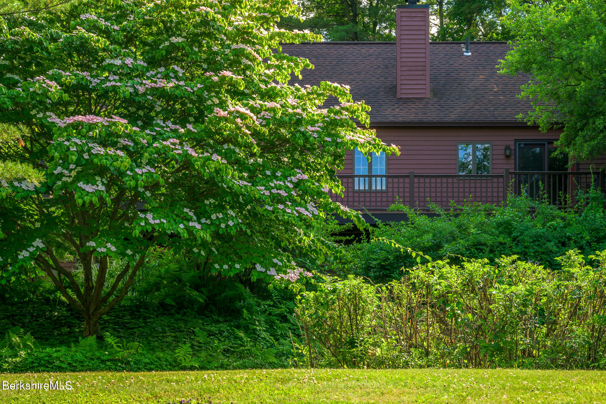 6 Manitauk Heights Stockbridge, MA 01262 - Photo 43 of 49 From Back yard