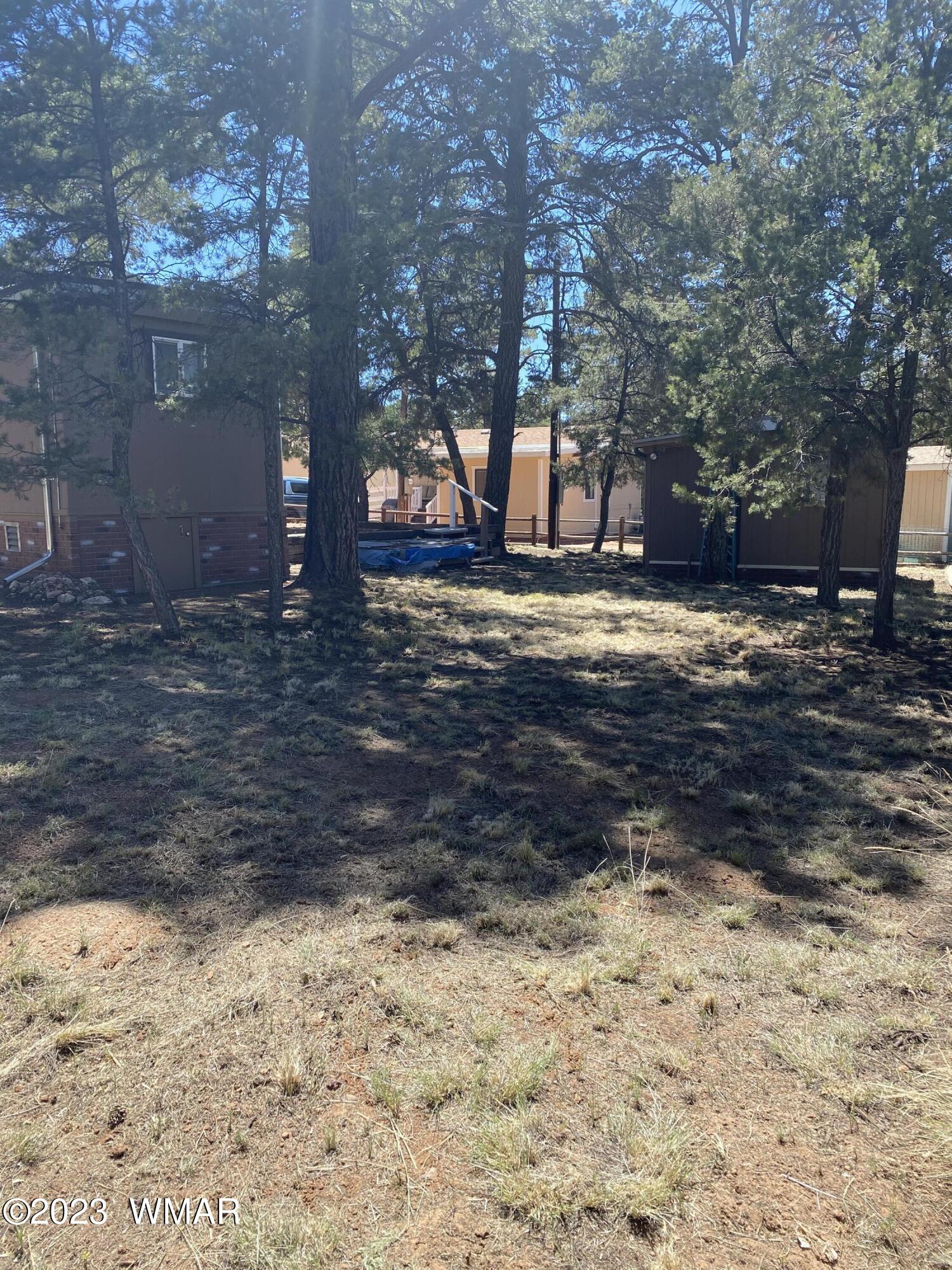 2108 Fishermans Road Overgaard, AZ 85933 - Photo 20 of 29