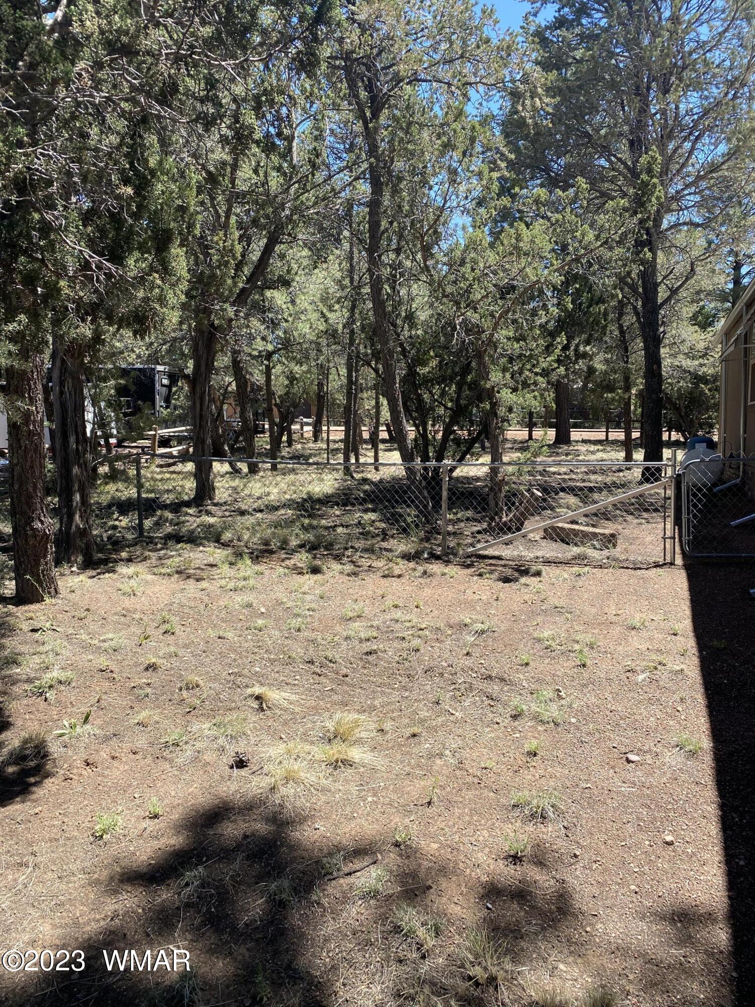 2108 Fishermans Road Overgaard, AZ 85933 - Photo 22 of 29