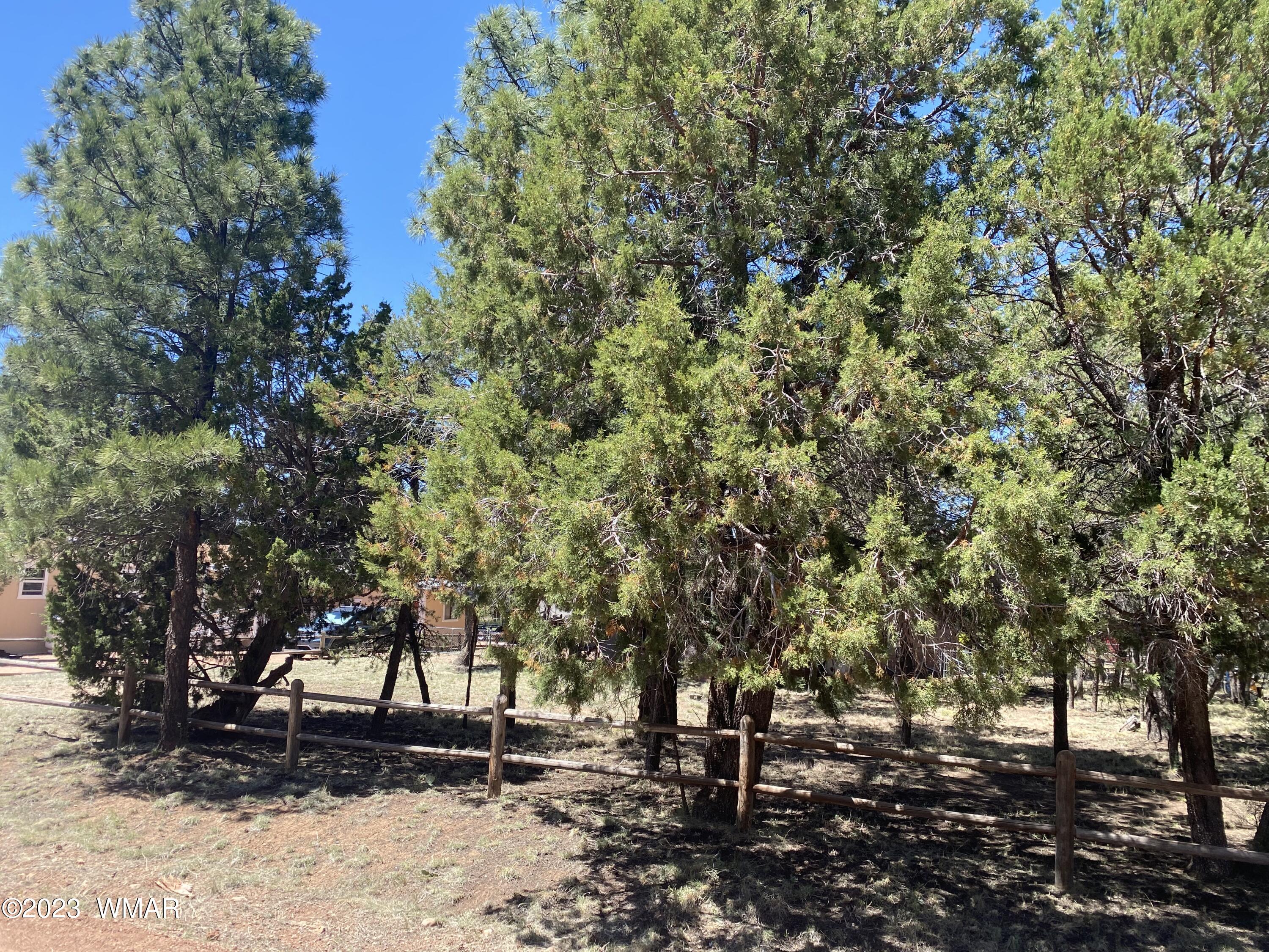 2108 Fishermans Road Overgaard, AZ 85933 - Photo 29 of 29