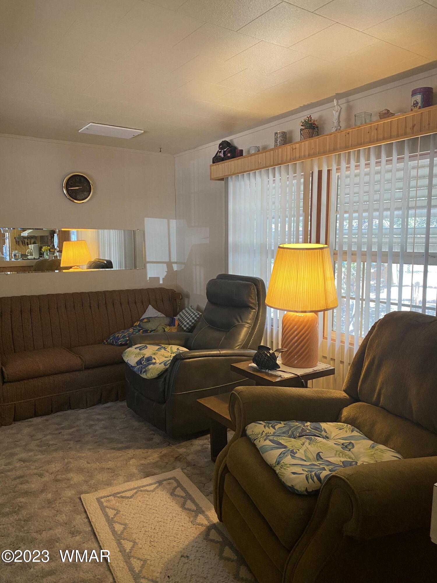 2108 Fishermans Road Overgaard, AZ 85933 - Photo 10 of 29
