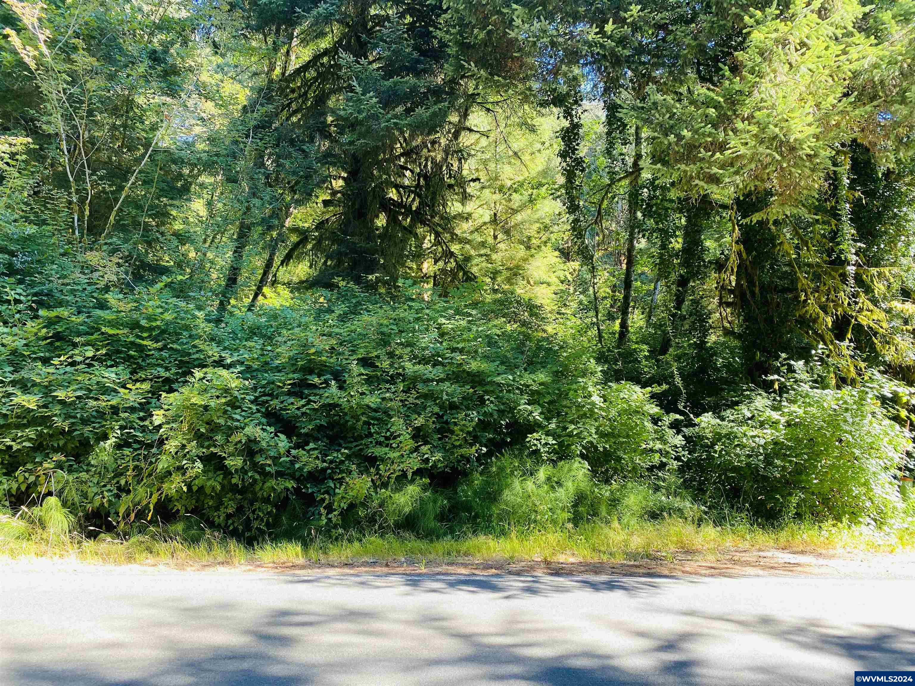 3757 Yachats River Road Yachats, OR 97498 - Photo 5 of 5