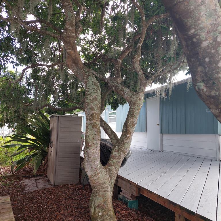 20182 Cot Road, Unit 505 Lutz, FL 33558 - Photo 24 of 32 Gallery Image 24