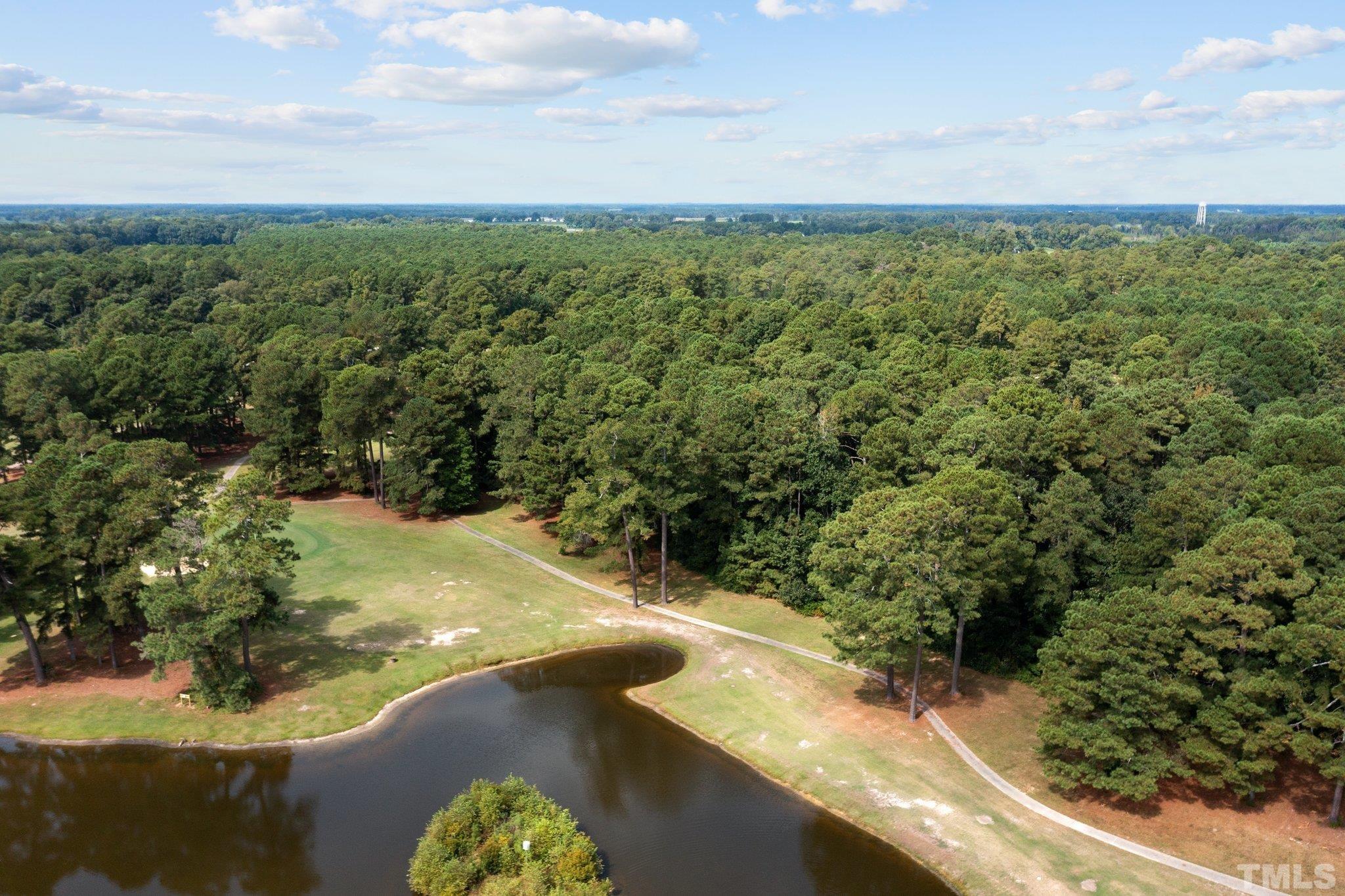 84 Golf Course Drive Pinetops, NC 27864 - Photo 18 of 38 a view of a lake from a yard