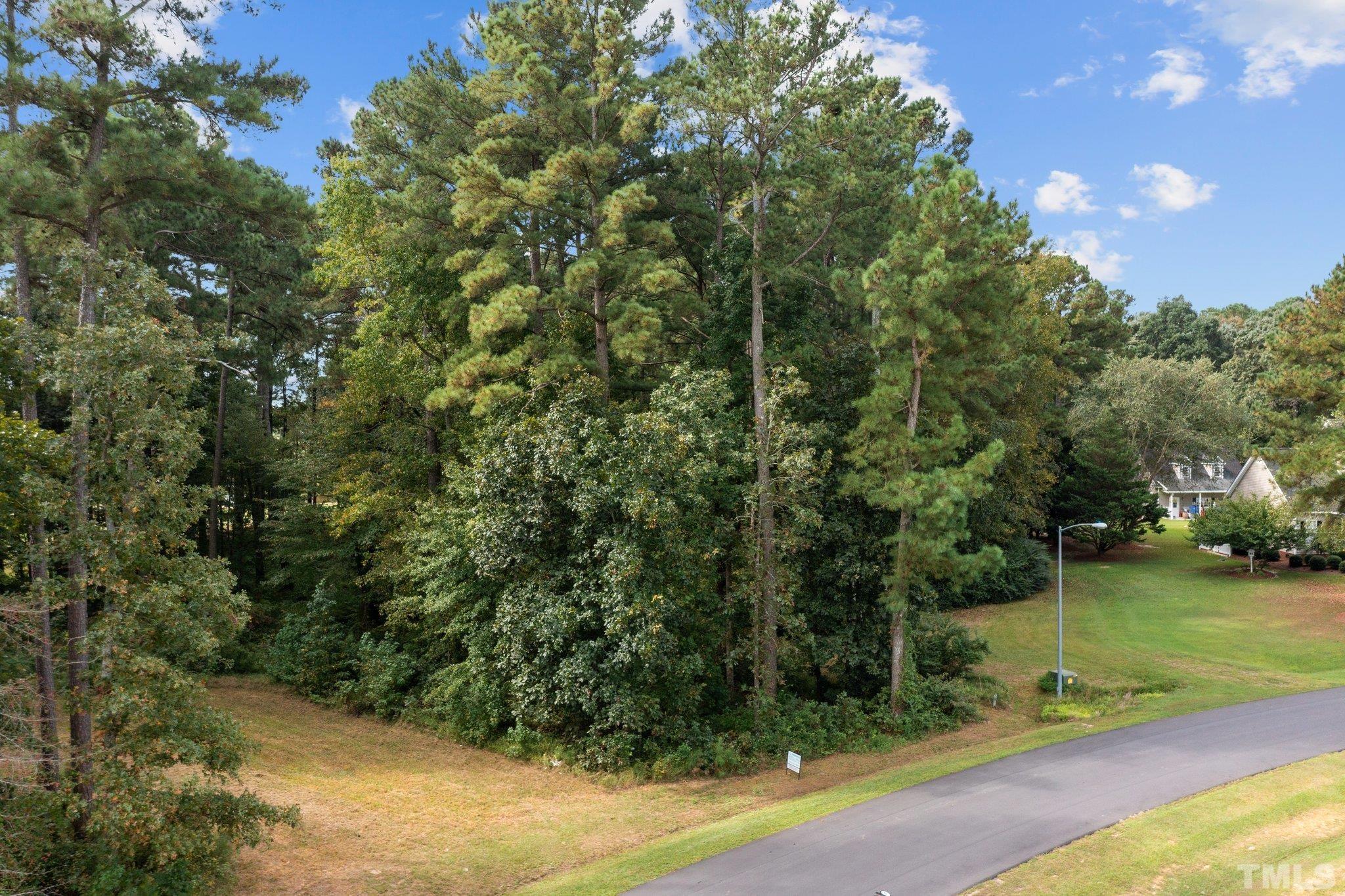 84 Golf Course Drive Pinetops, NC 27864 - Photo 3 of 38 a view of a yard with a tree