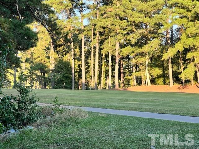 84 Golf Course Drive Pinetops, NC 27864 - Photo 33 of 38 a view of a field with trees