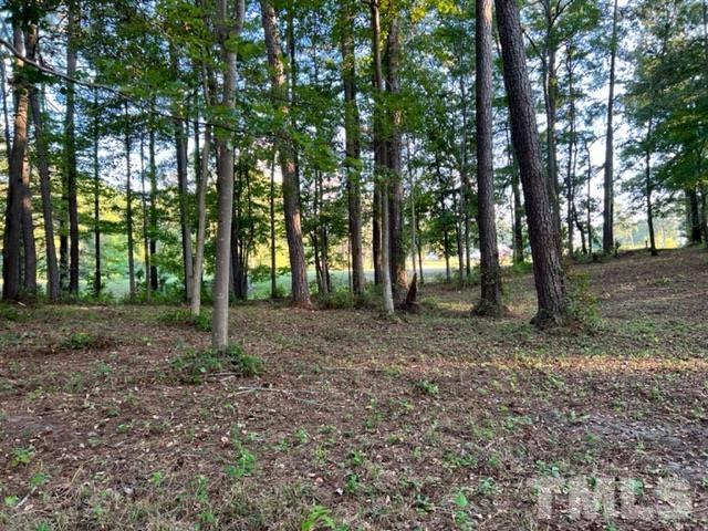 84 Golf Course Drive Pinetops, NC 27864 - Photo 36 of 38 a view of outdoor space with lots of trees