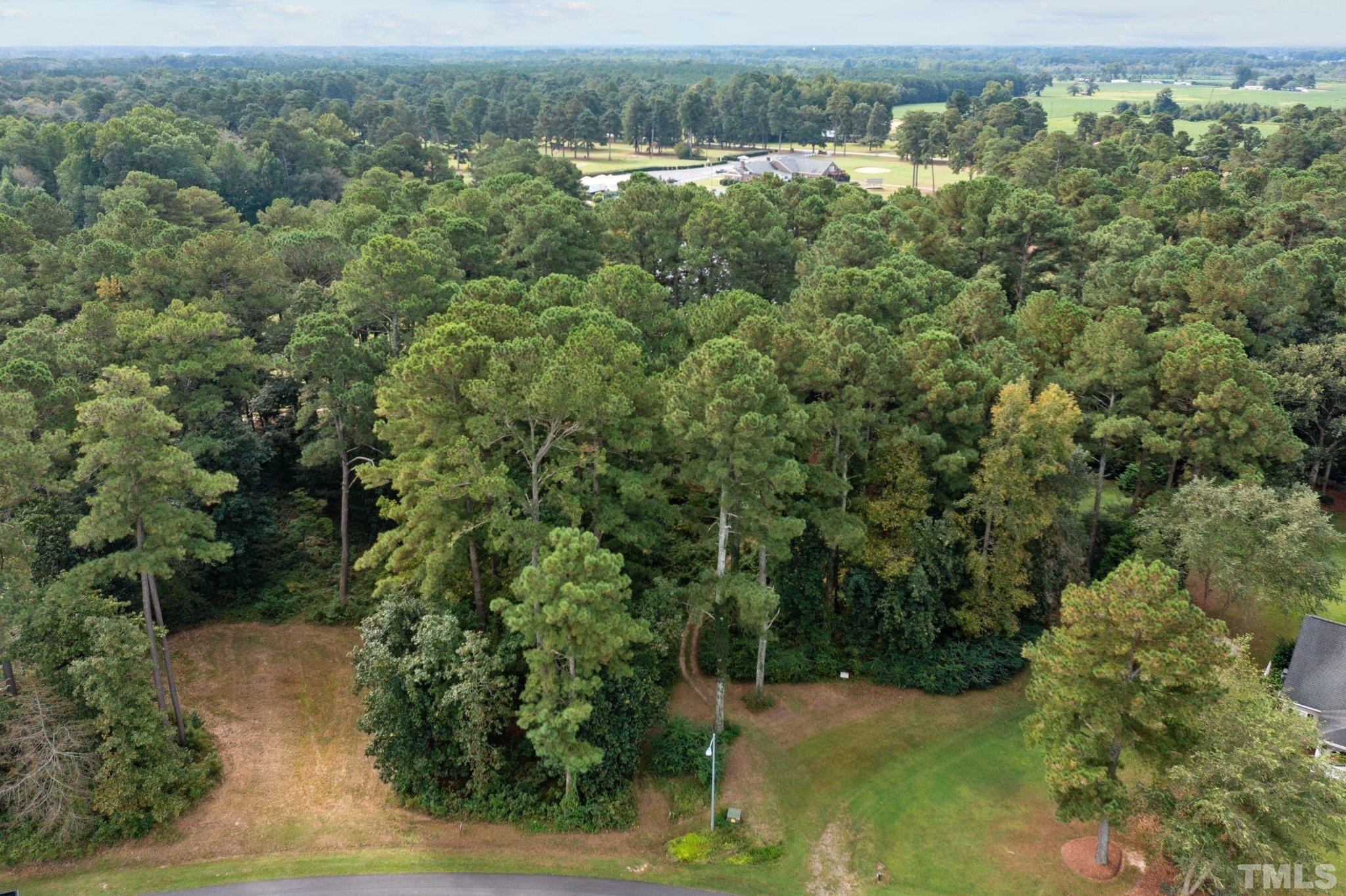 84 Golf Course Drive Pinetops, NC 27864 - Photo 7 of 38 an aerial view of a houses with a yard