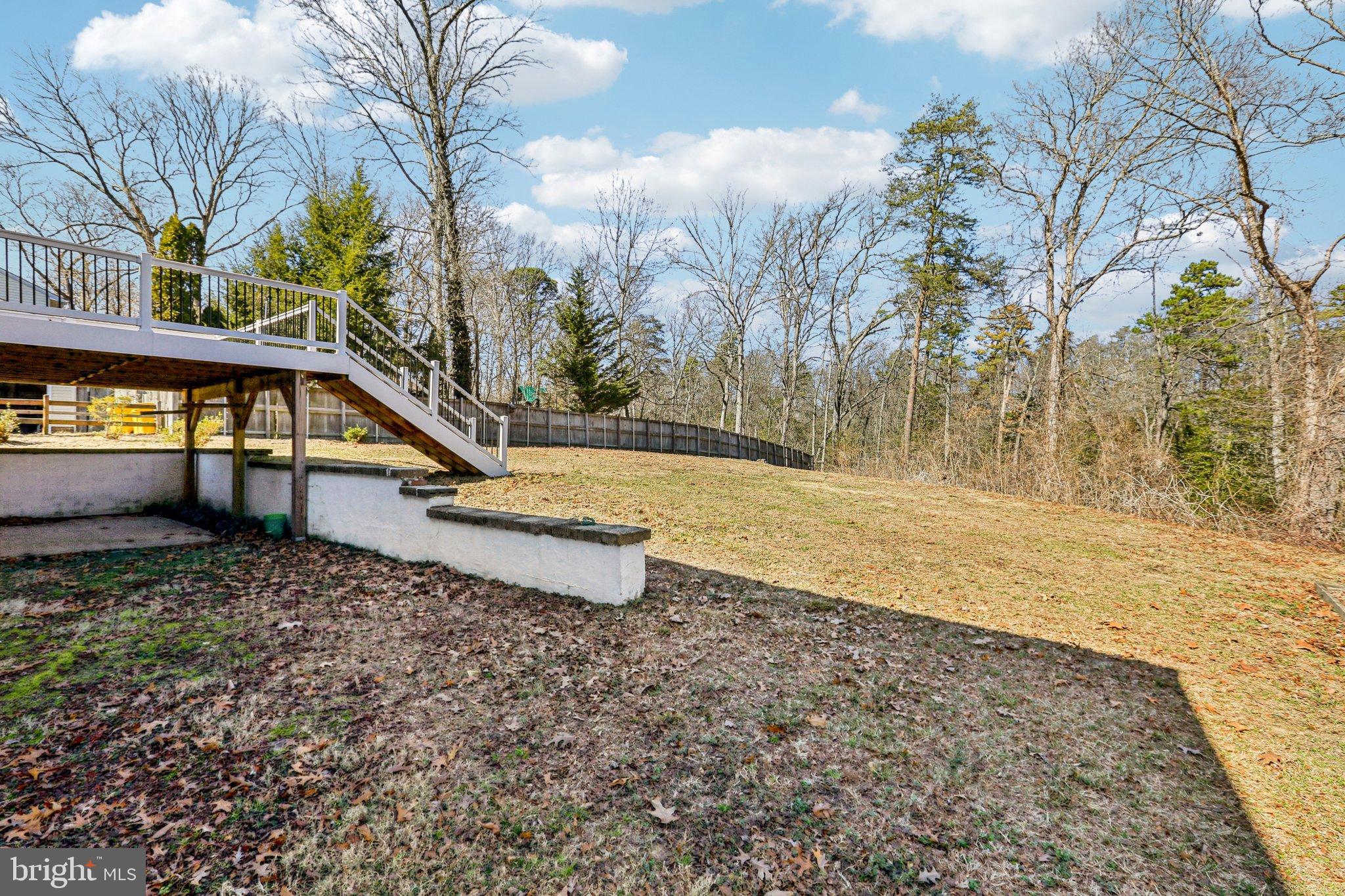 306 Christy Road Pasadena, MD 21122 - Photo 35 of 58 a view of a yard with plants and trees