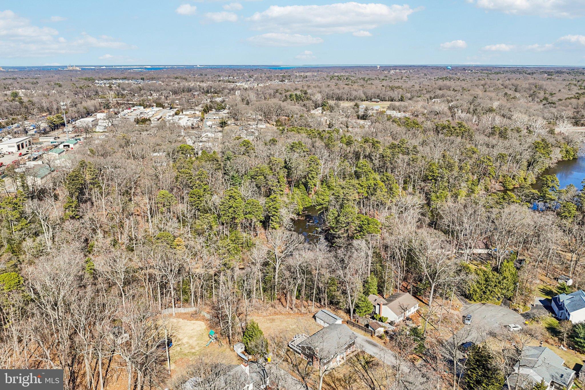 306 Christy Road Pasadena, MD 21122 - Photo 43 of 58 Serene wooded landscape with nearby homes.