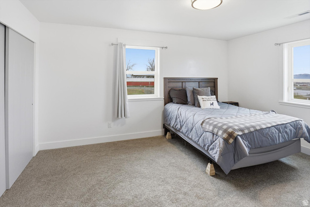 1009 High Creek Road Cove, UT 84320 - Photo 39 of 79 Bedroom featuring carpet floors and a closet