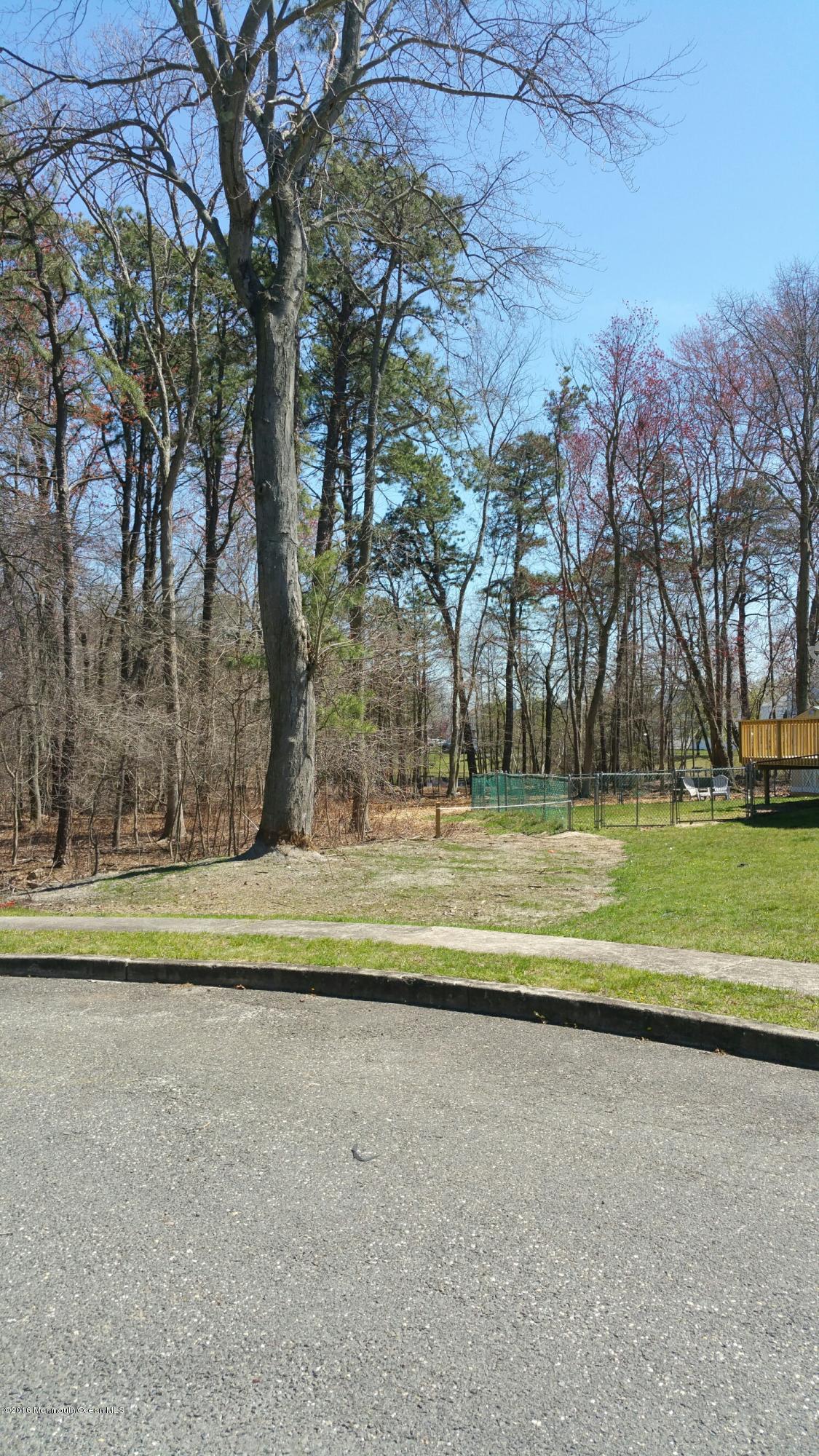 135 Rochelle Avenue Howell, NJ 07731 - Photo 34 of 39 LEFT SIDE OF PROPERTY