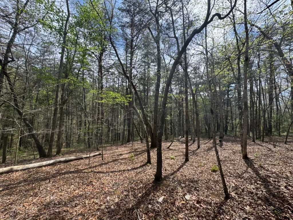 175 Jones Mill Road Smithville, TN 37166 - Photo 11 of 17