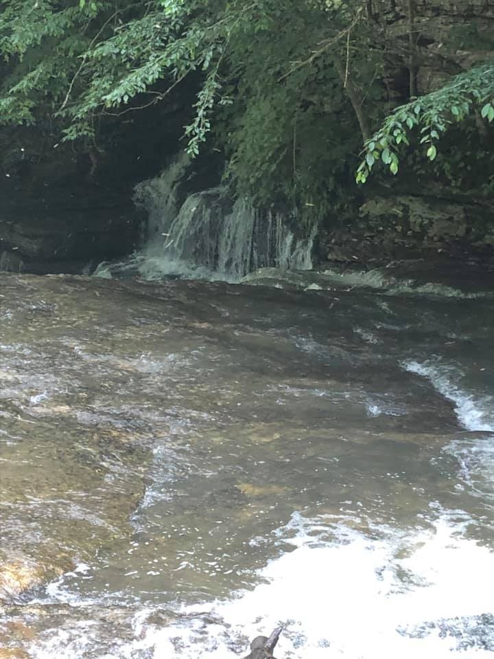 175 Jones Mill Road Smithville, TN 37166 - Photo 2 of 7