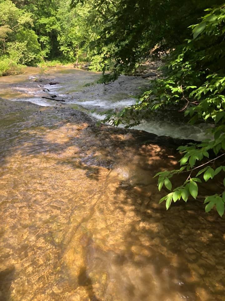 175 Jones Mill Road Smithville, TN 37166 - Photo 3 of 7