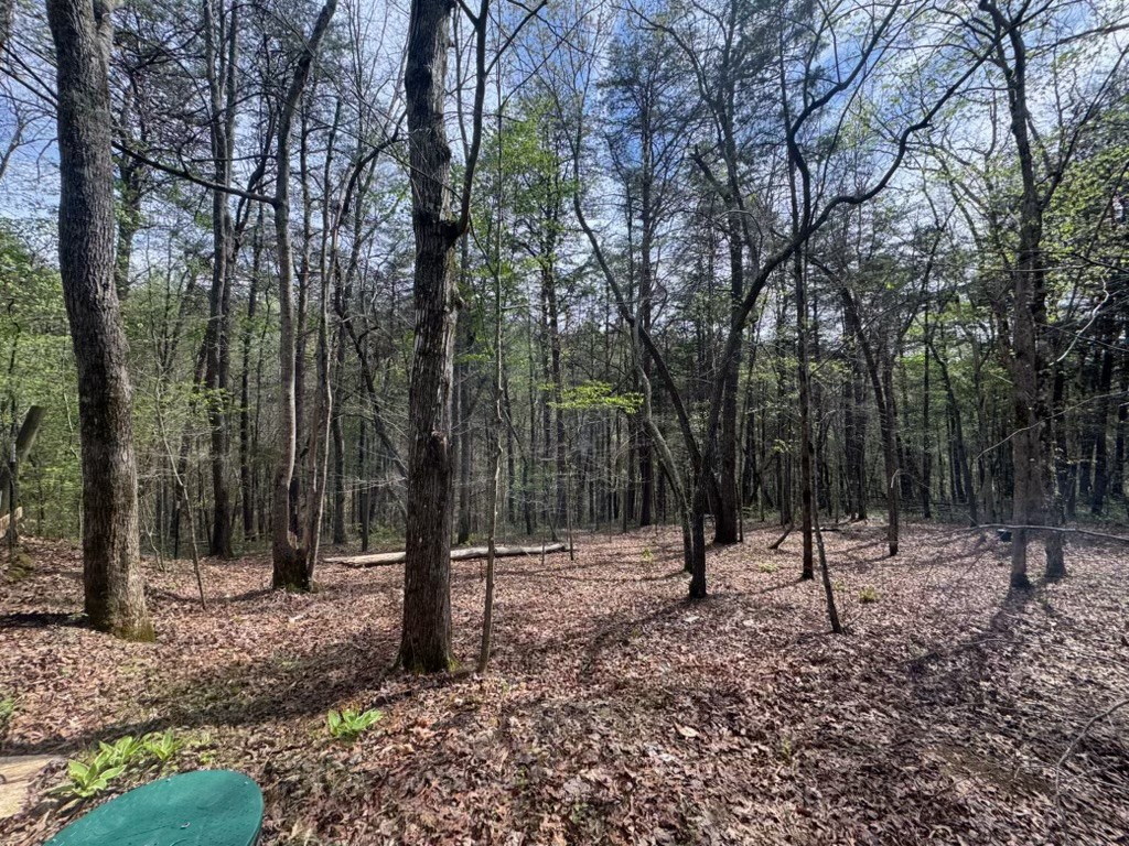 175 Jones Mill Road Smithville, TN 37166 - Photo 6 of 17