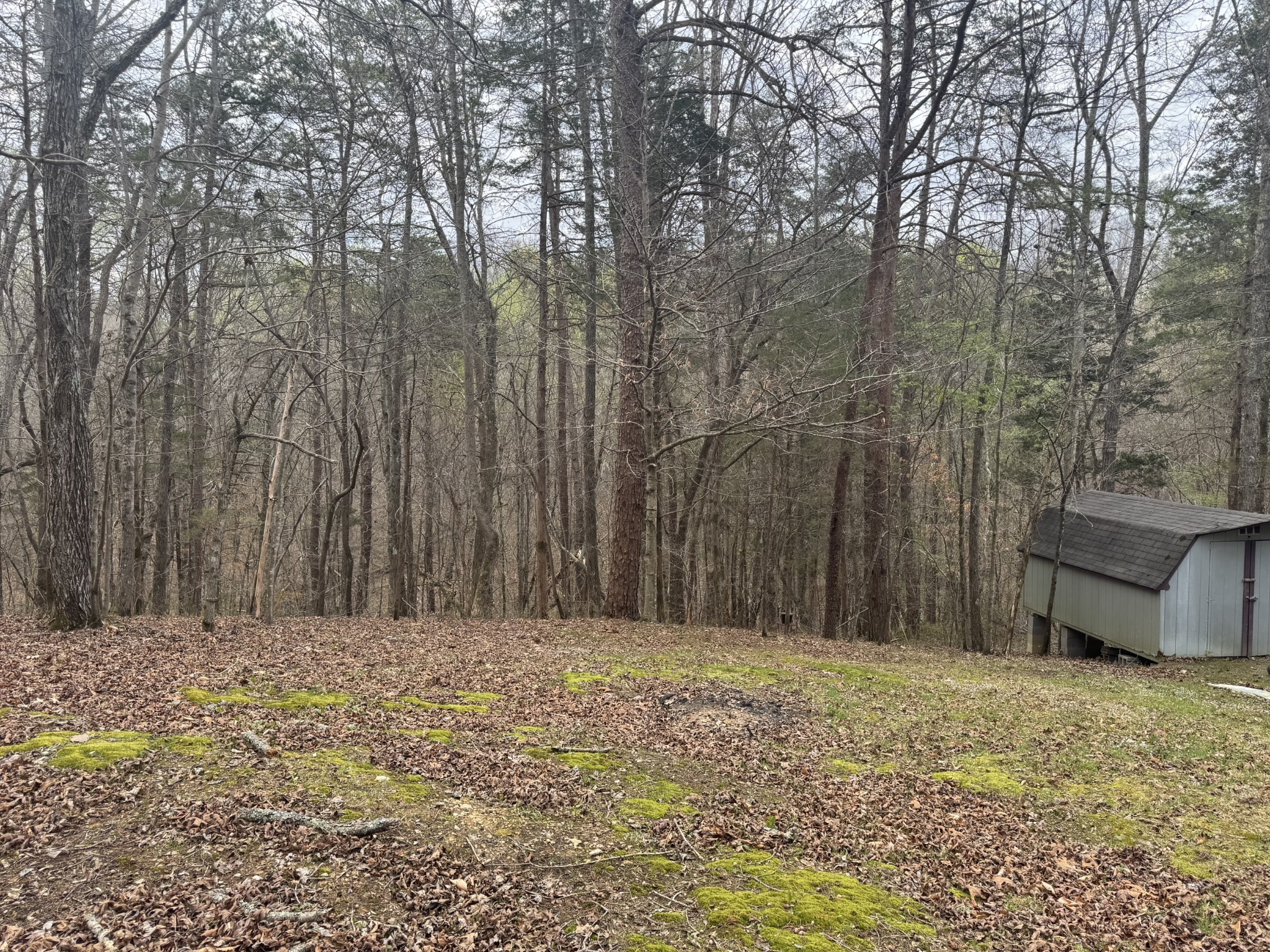 175 Jones Mill Road Smithville, TN 37166 - Photo 9 of 17