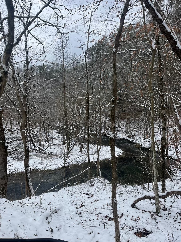 175 Jones Mill Road Smithville, TN 37166 - Photo 10 of 17