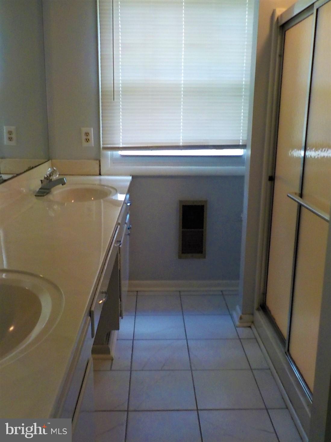 613 Twin Tree Road Salisbury, MD 21801 - Photo 20 of 35 Master Bath View 2