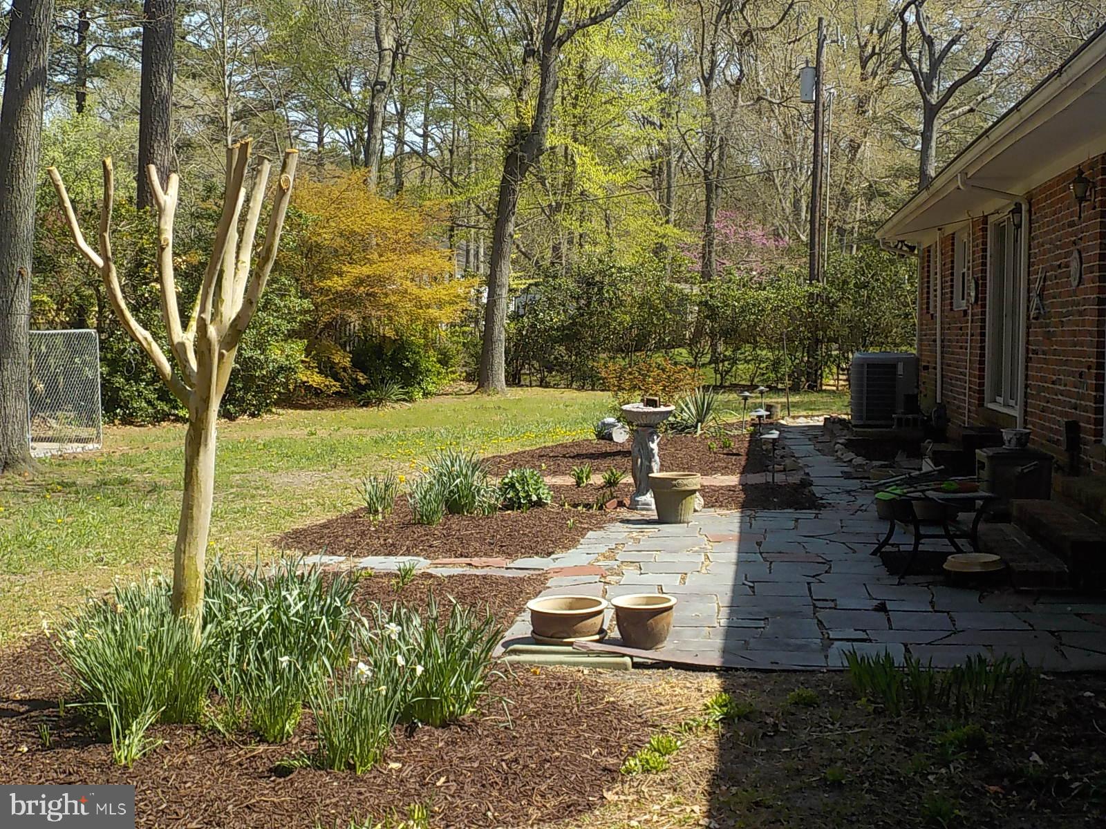 613 Twin Tree Road Salisbury, MD 21801 - Photo 29 of 35 Rear Patio