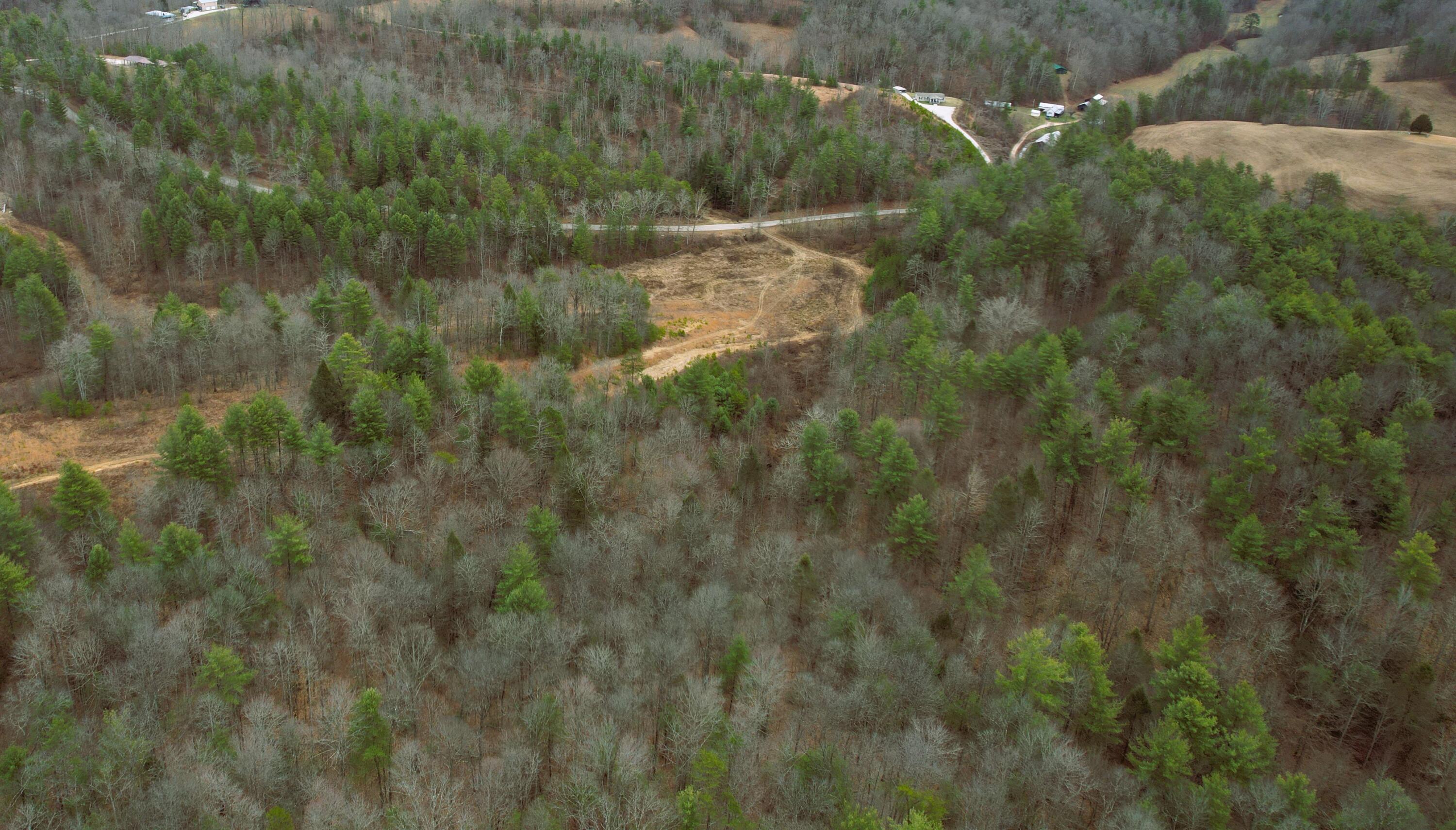 9999 Sandy Ridge Road Campton, KY 41301 - Photo 3 of 12 40-12