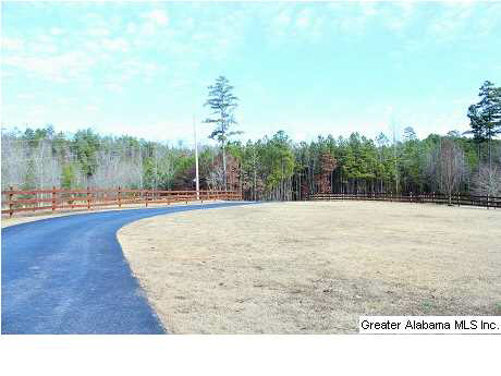 2288 Williams Road Piedmont, AL 36272 - Photo 2 of 26