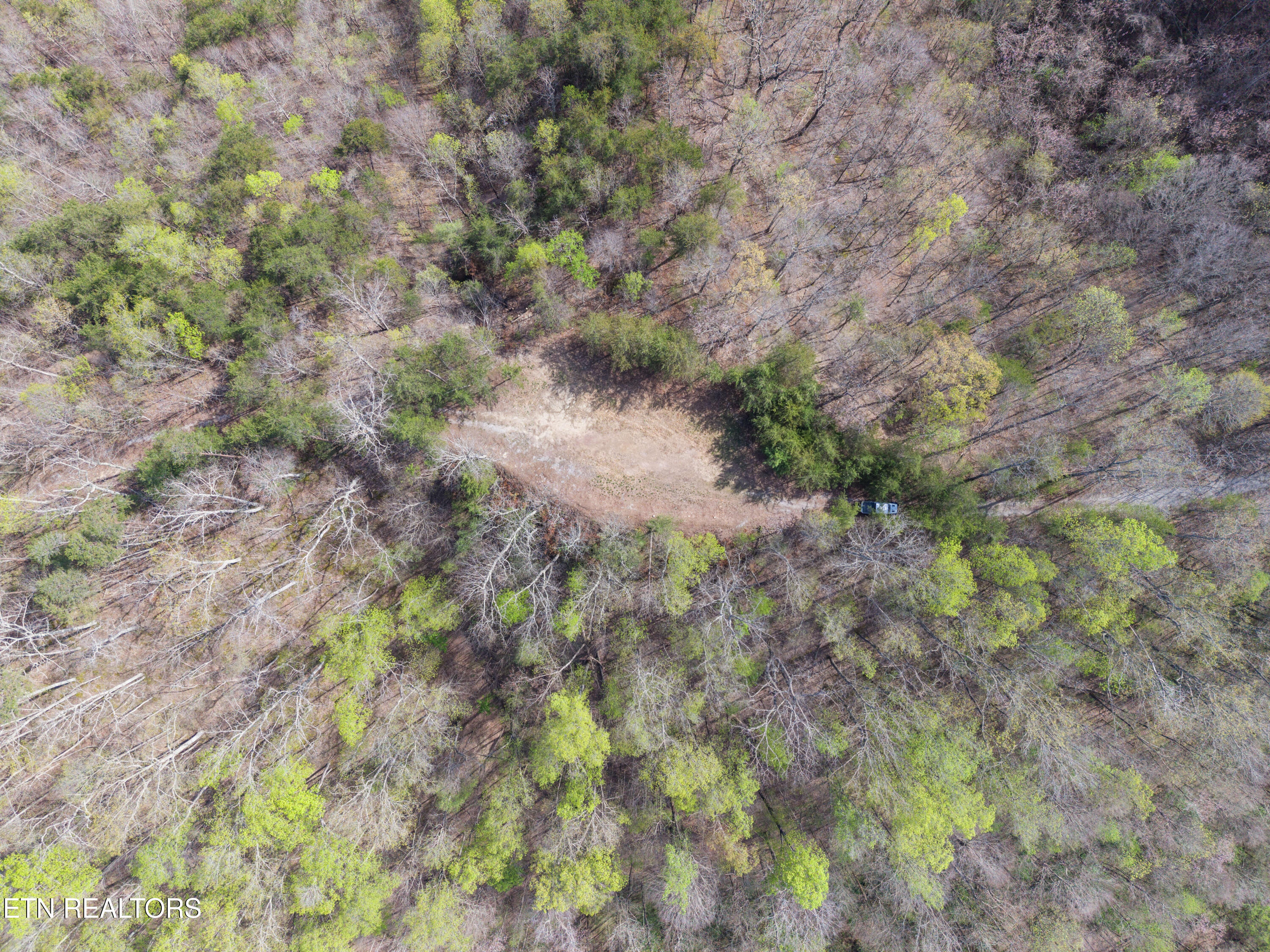 350 Bluff View Road New Tazewell, TN 37825 - Photo 8 of 13 Bluff_View_Rd 0012