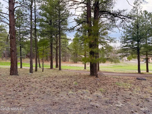 $225,000 | 1128 Torrey Pines Drive, Williams, AZ 86046