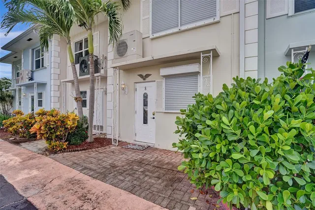 a view of a bunch of plants and flowers