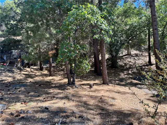 $69,000 | 0 Heath Creek Drive, Wrightwood, CA 92397