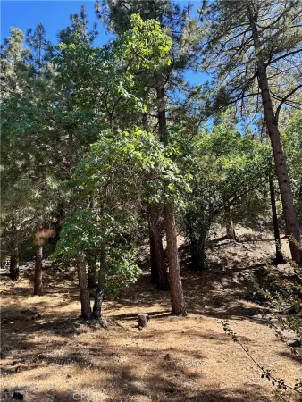 $69,000 | 0 Heath Creek Drive, Wrightwood, CA 92397