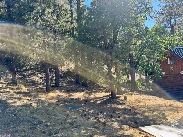 a view of a tree in a yard