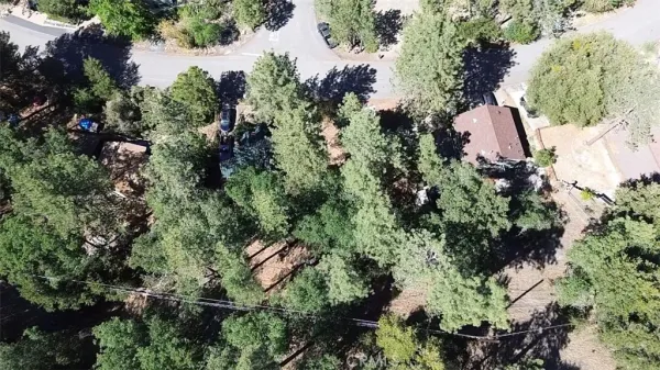 a view of snow on a road