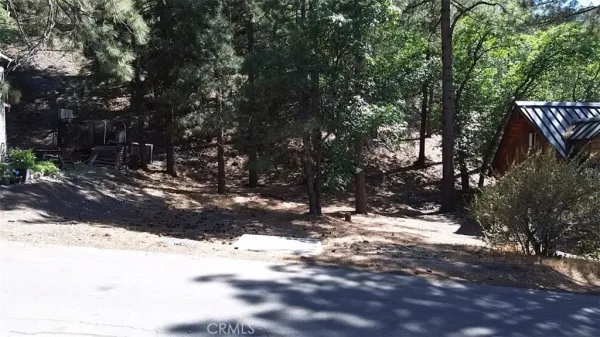 a view of a tree