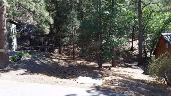 a view of a forest with trees