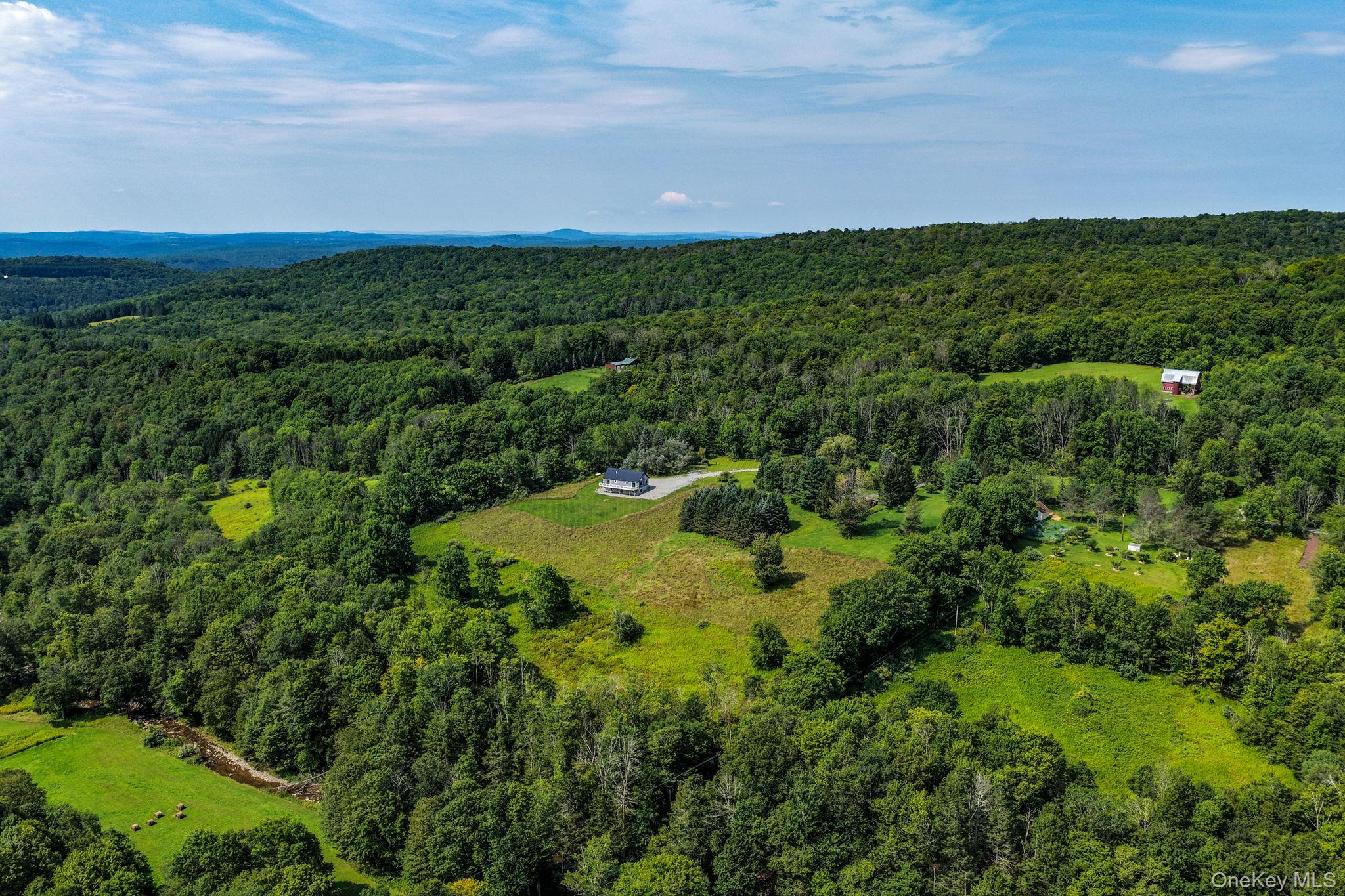 129 Nelson Road Hankins, NY 12741 - Photo 42 of 49 Gallery Image 42